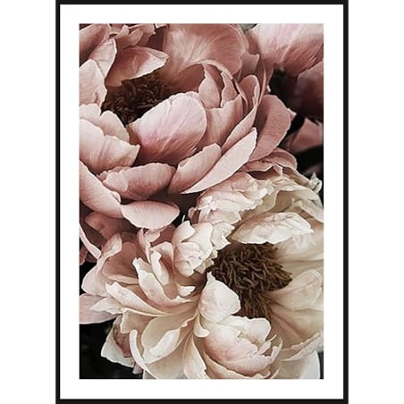 Poster Story, Plakat, Obraz - Piwonie Białe i Pudrowe w Rozkwicie No1, wymiary 30 x 42 cm