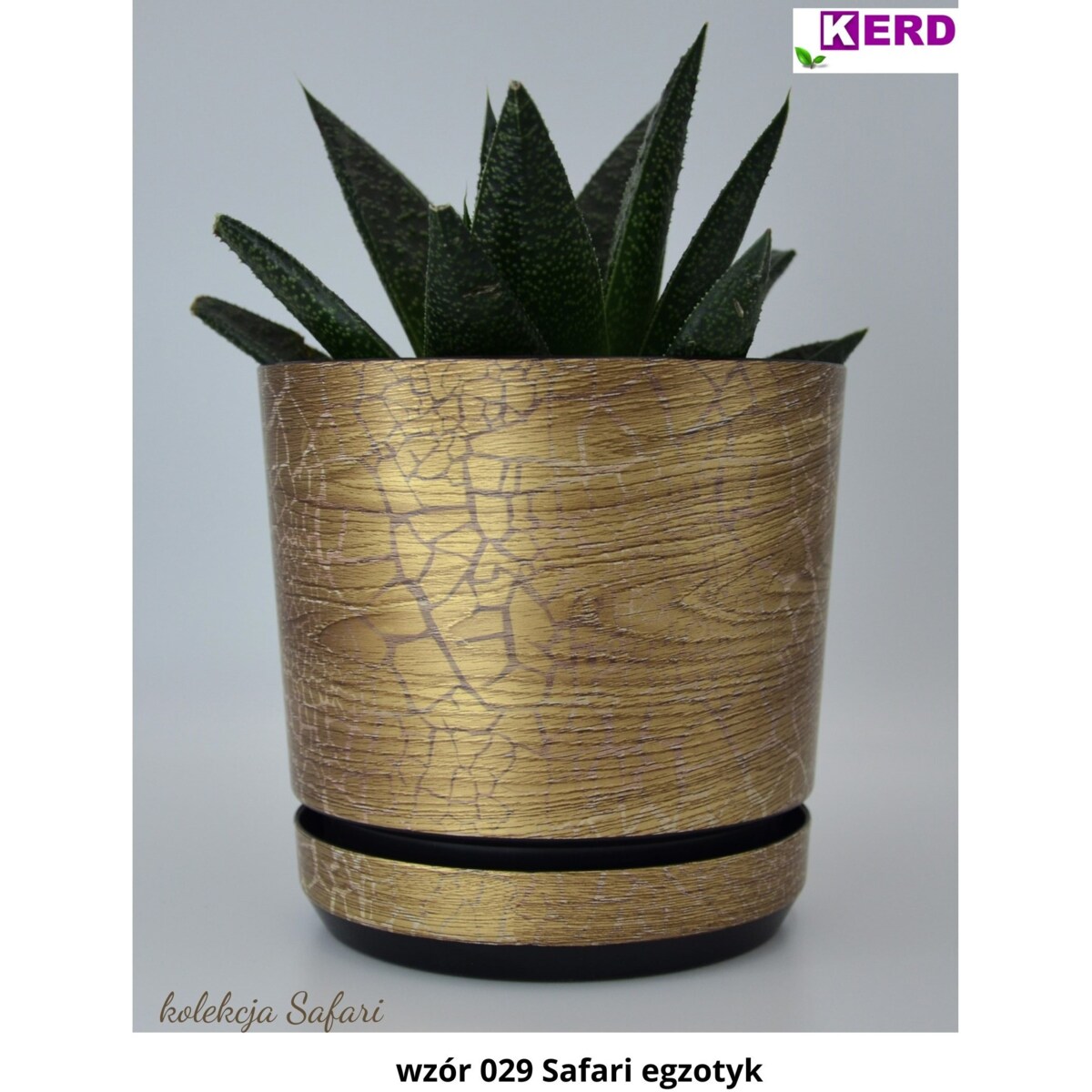 12 cm wzór SAFARI EGZOTYK Doniczka z podstawką efekt naturalny drewna złotej deski drzewa afrykańskiego drewnopodobna