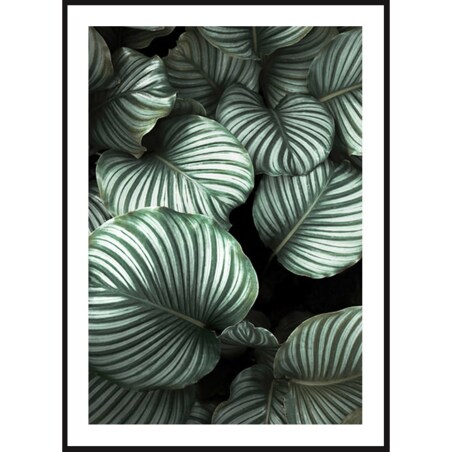 Poster Story, Plakat, Obraz - Tropikalne Liście, wymiary 50 x 70 cm