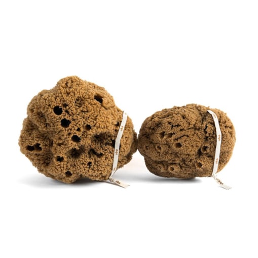 Gąbka naturalna TWARDA GŁOWA rozmiar M UBO