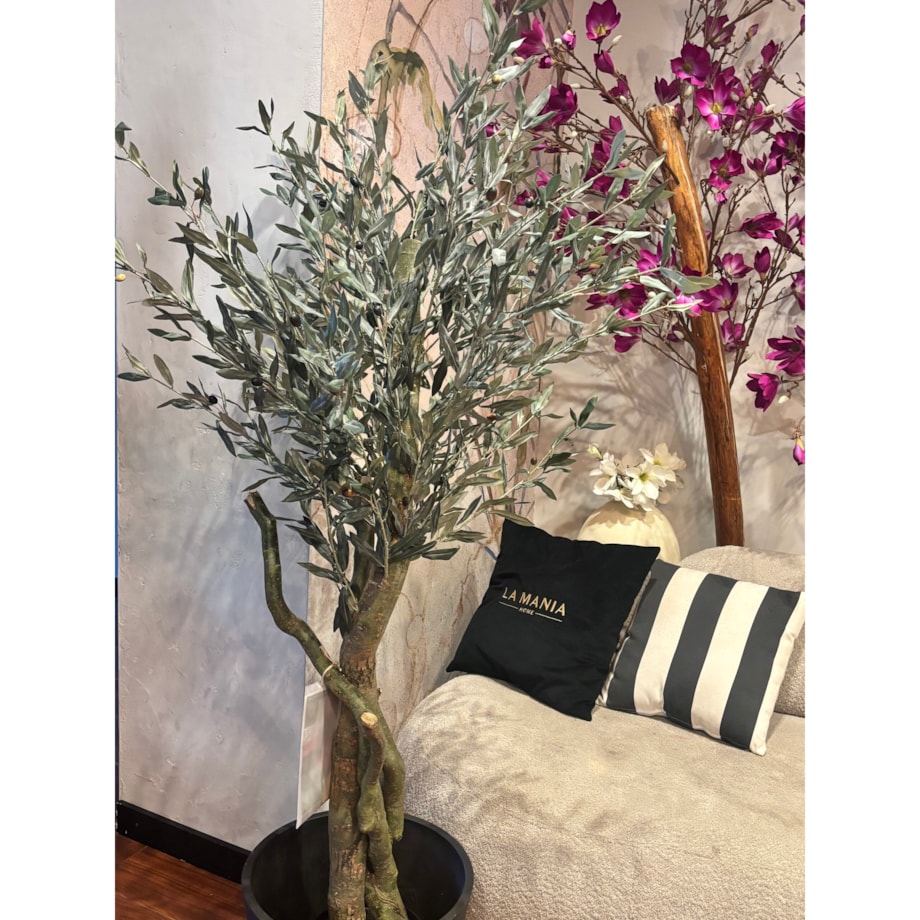 Drzewo oliwne 180cm na kręconym naturalnym pniu