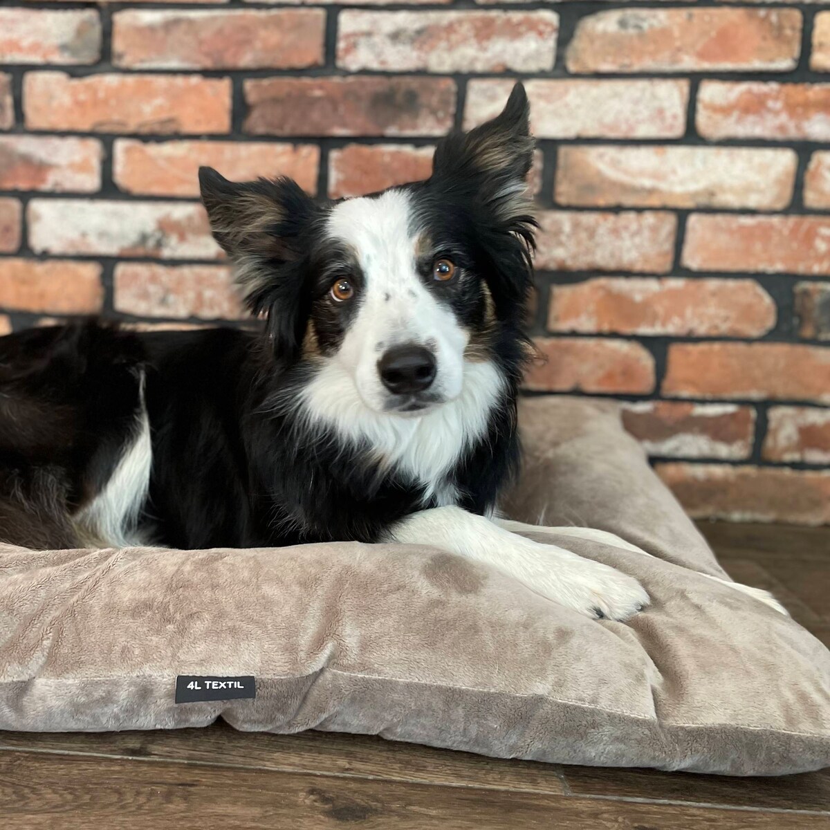 Miękka poduszka dla psa MALIBU, 100x80 cm, Brąz