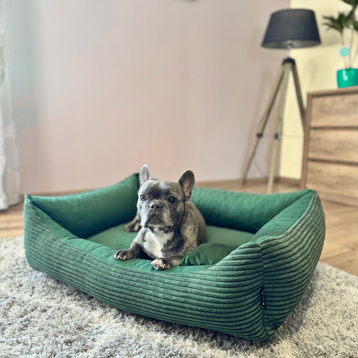 Sztruksowe legowisko dla psa MOLLY, 100x80 cm, Zieleń
