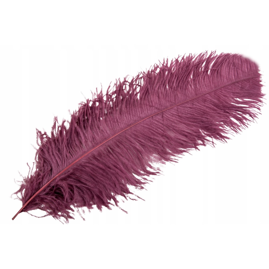 PIÓRO STRUSIE dekoracyjne FIOLETOWE 60cm