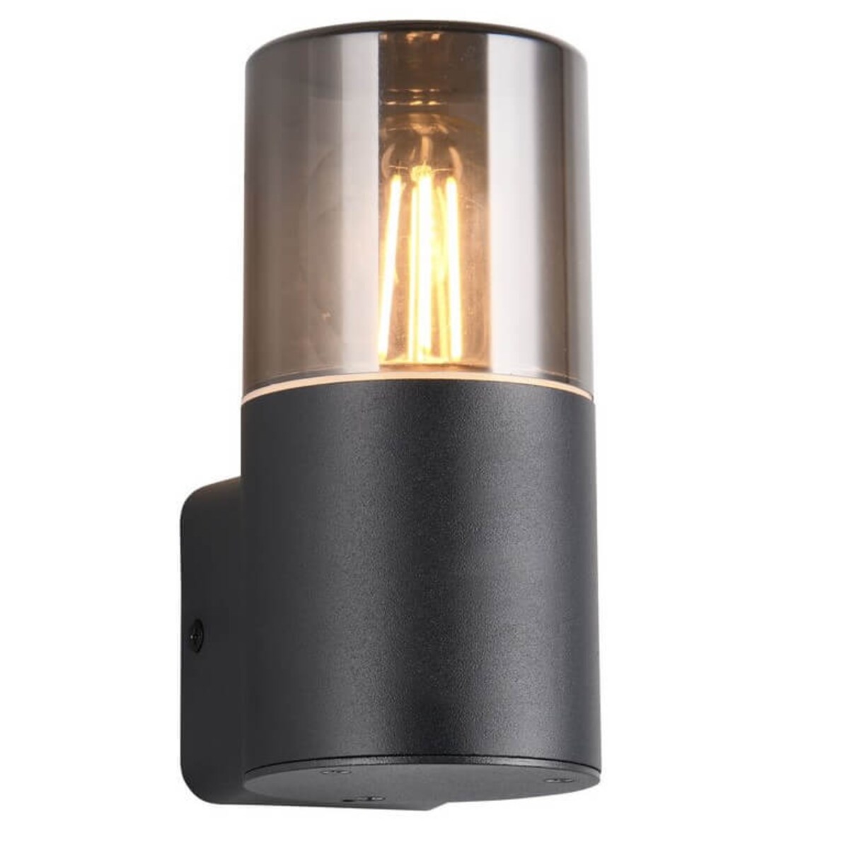 Metalowa lampa na ścianę Hoosic 224060132 Trio IP44 czarny