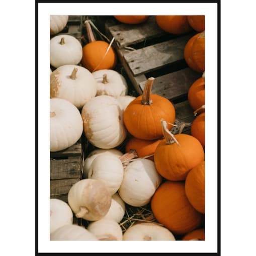 Poster Story, Plakat, Obraz - Malutkie Dynie, wymiary 50 x 70 cm