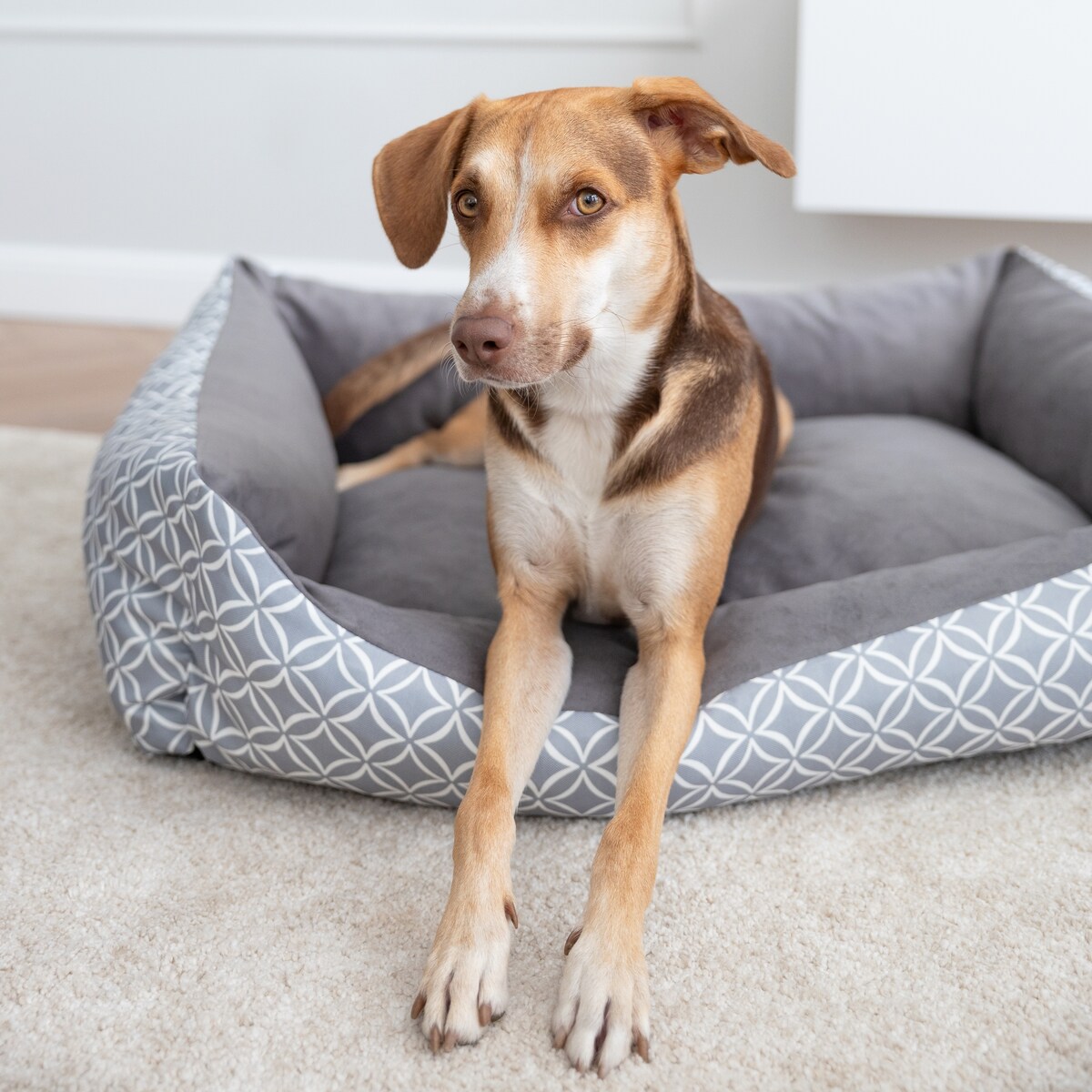 Stylowe legowisko dla psa OTTO, 120x100 cm, Szary