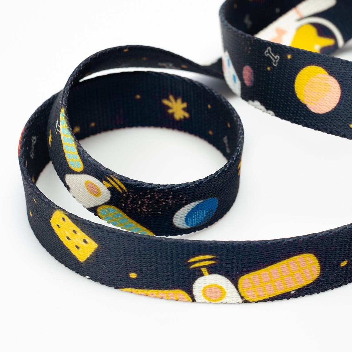 Obroża dla psa lub kota "I need space" - Szerokość taśmy: 38mm, Rozmiar: M