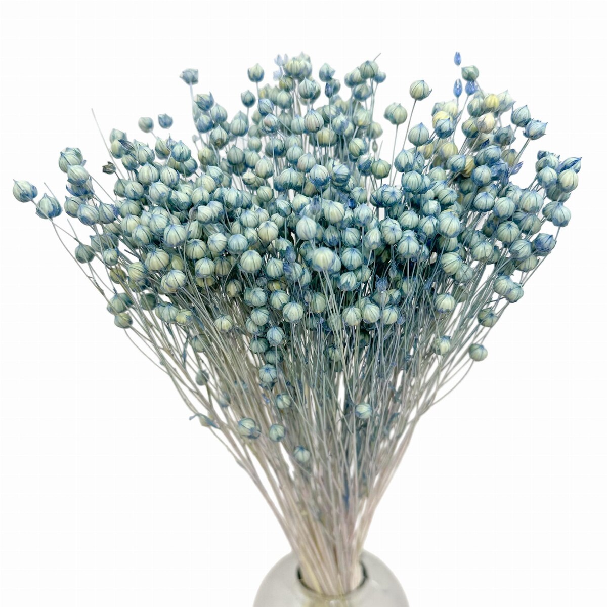 Suszony Len Niebieski (Denim)