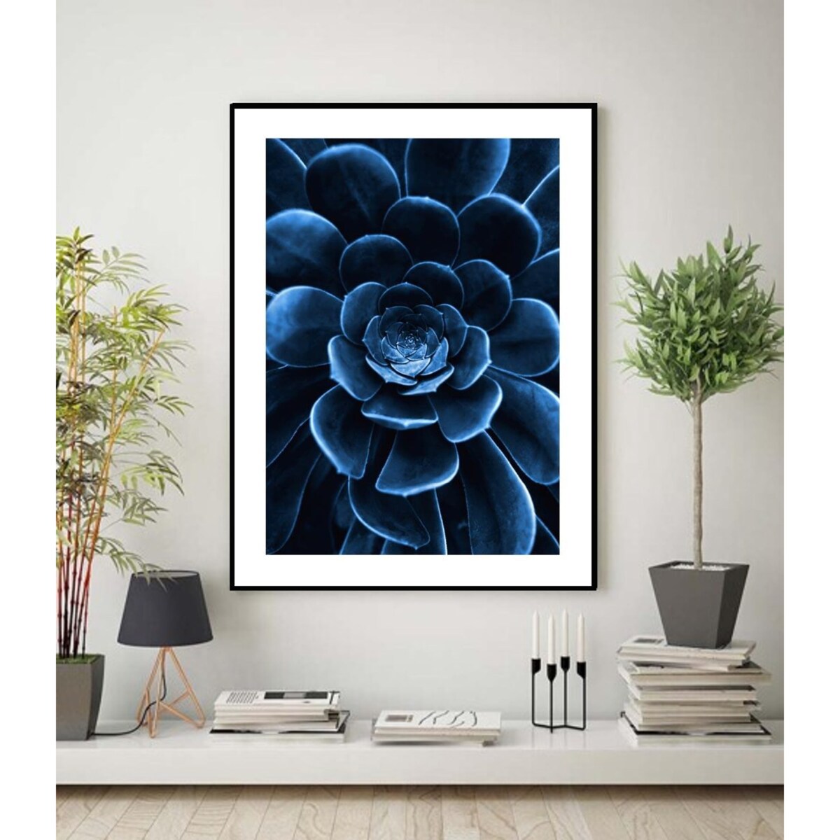 Poster Story, Plakat, Obraz - Niebieski Sukulent, wymiary 50 x 70 cm