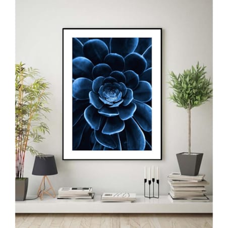 Poster Story, Plakat, Obraz - Niebieski Sukulent, wymiary 50 x 70 cm