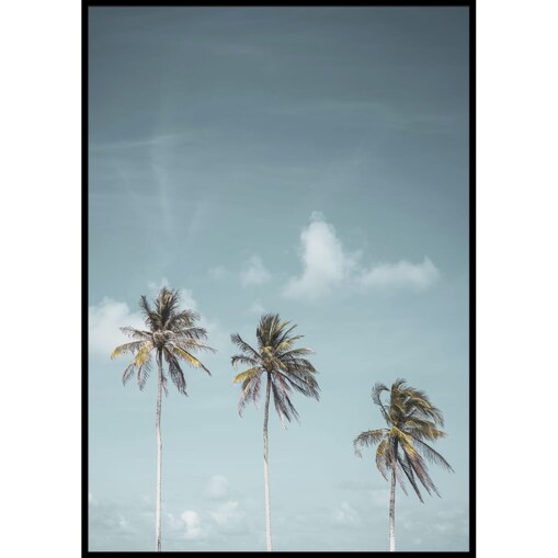 plakat tropikalne palmy 30x40 cm