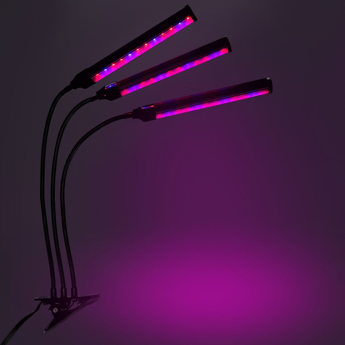 Lampa Led Do Wzrostu Roślin 72 Diod Timer 25 W Uprawa Roślin Do Domu Bez Zasilacza Sieciowego