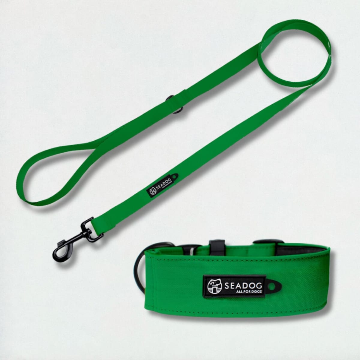 Zestaw: smycz i szeroka obroża, rozmiar M