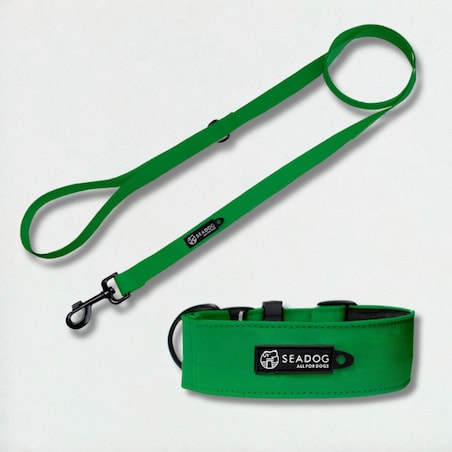 Zestaw: smycz i szeroka obroża, rozmiar M