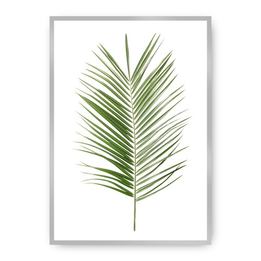 Plakat Palm Leaf Green, 40 x 50 cm, Ramka: Srebrna
