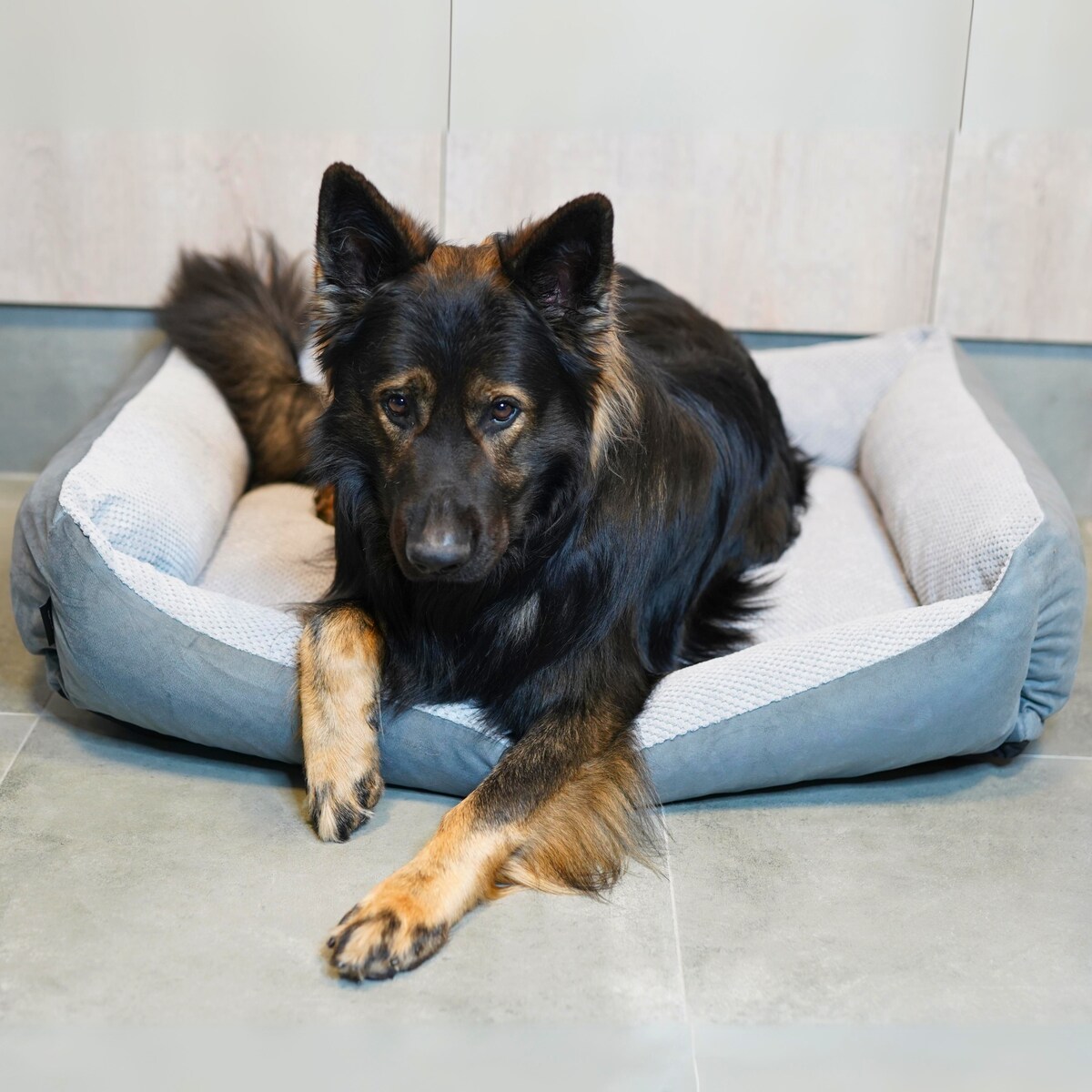 Przytulne legowisko dla psa TEO, 60x40 cm, Szary