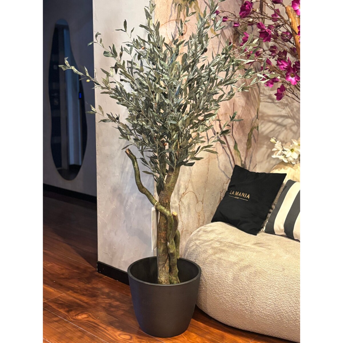 Drzewo oliwne 180cm na kręconym naturalnym pniu