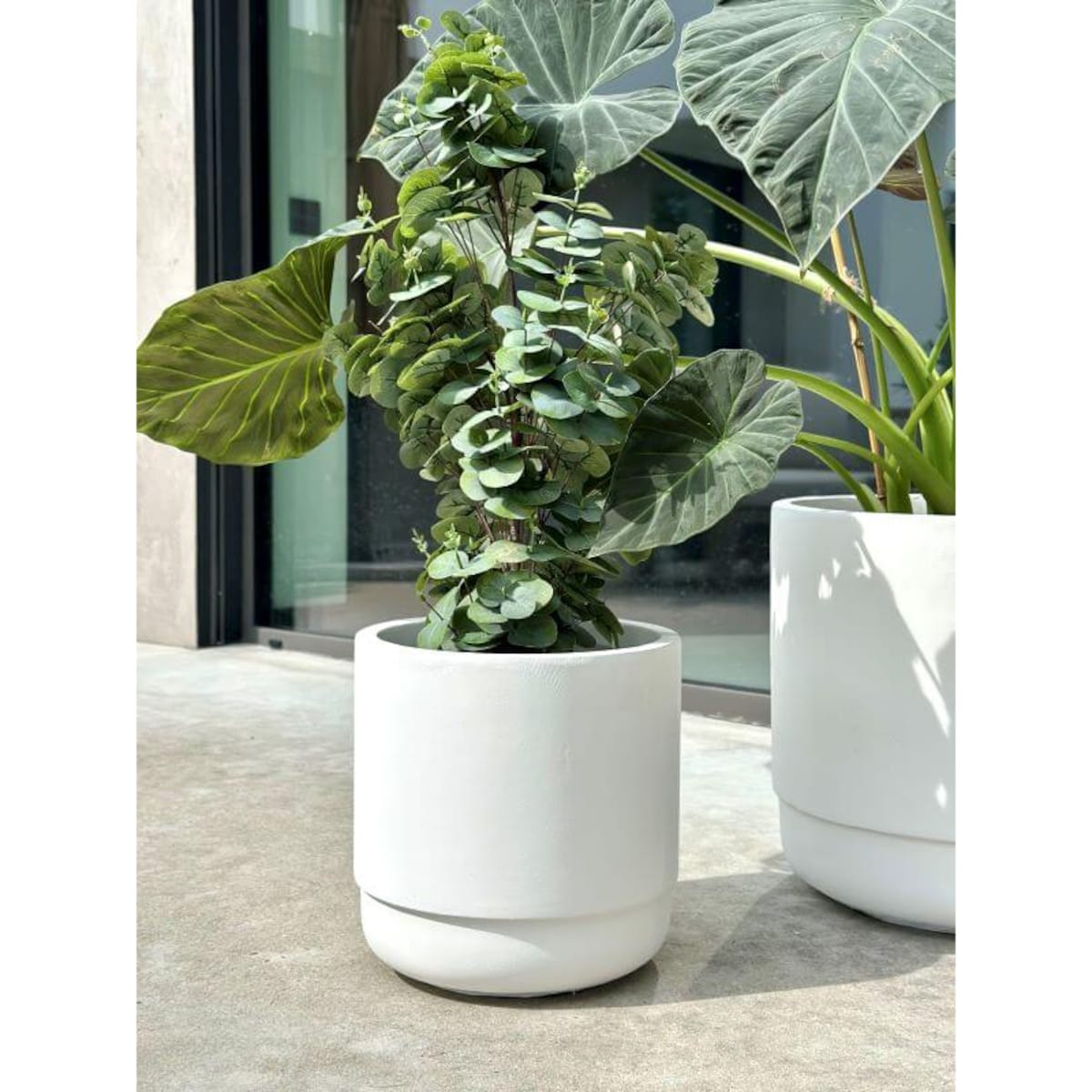 DONICZKA SANTIAGO WHITE S