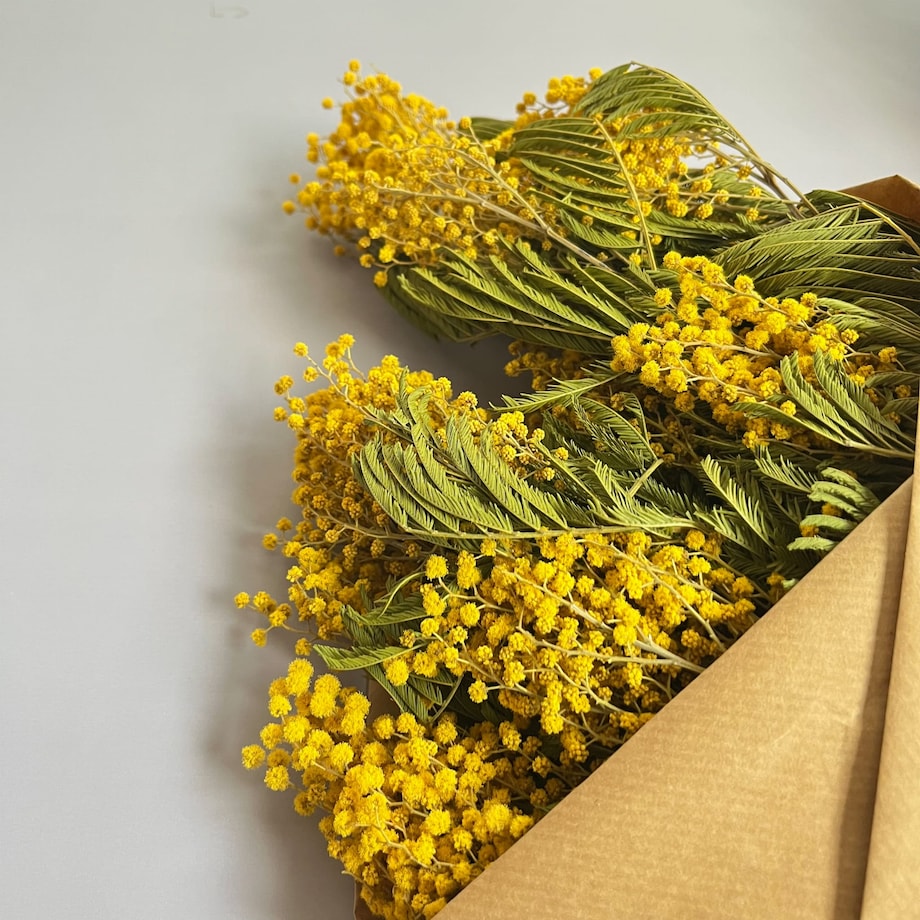 Suszona mimoza - suszone kwiaty - bukiet