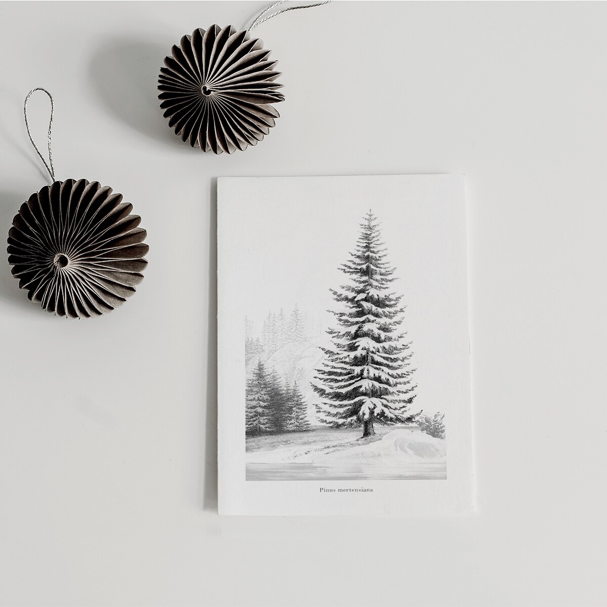 Plakat Śnieżna Sosna 21x30cm