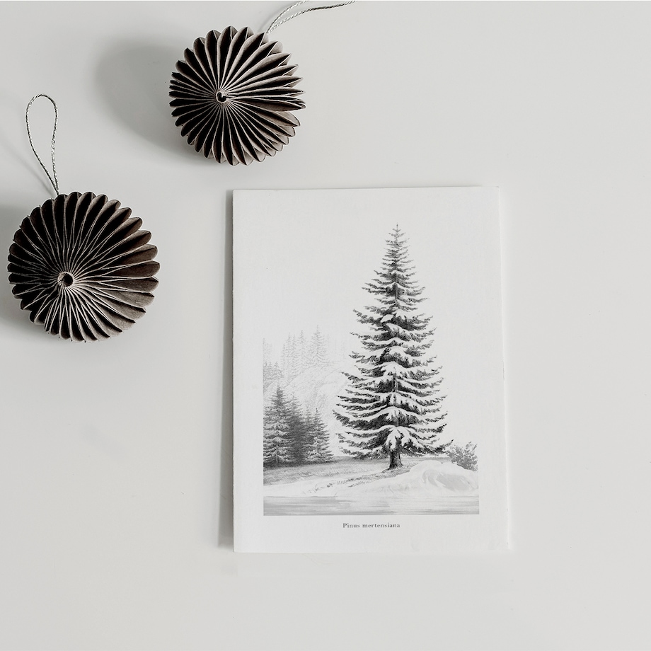 Plakat Śnieżna Sosna 21x30cm