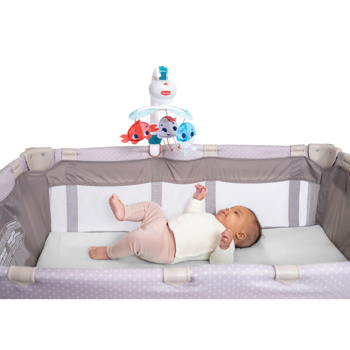 Karuzela podróżna - Skarby Oceanu