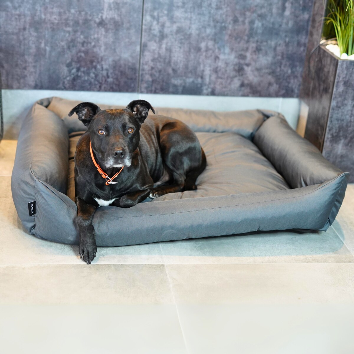 Wodoodporne legowisko dla psa KOKO, 80x60 cm, Grafit