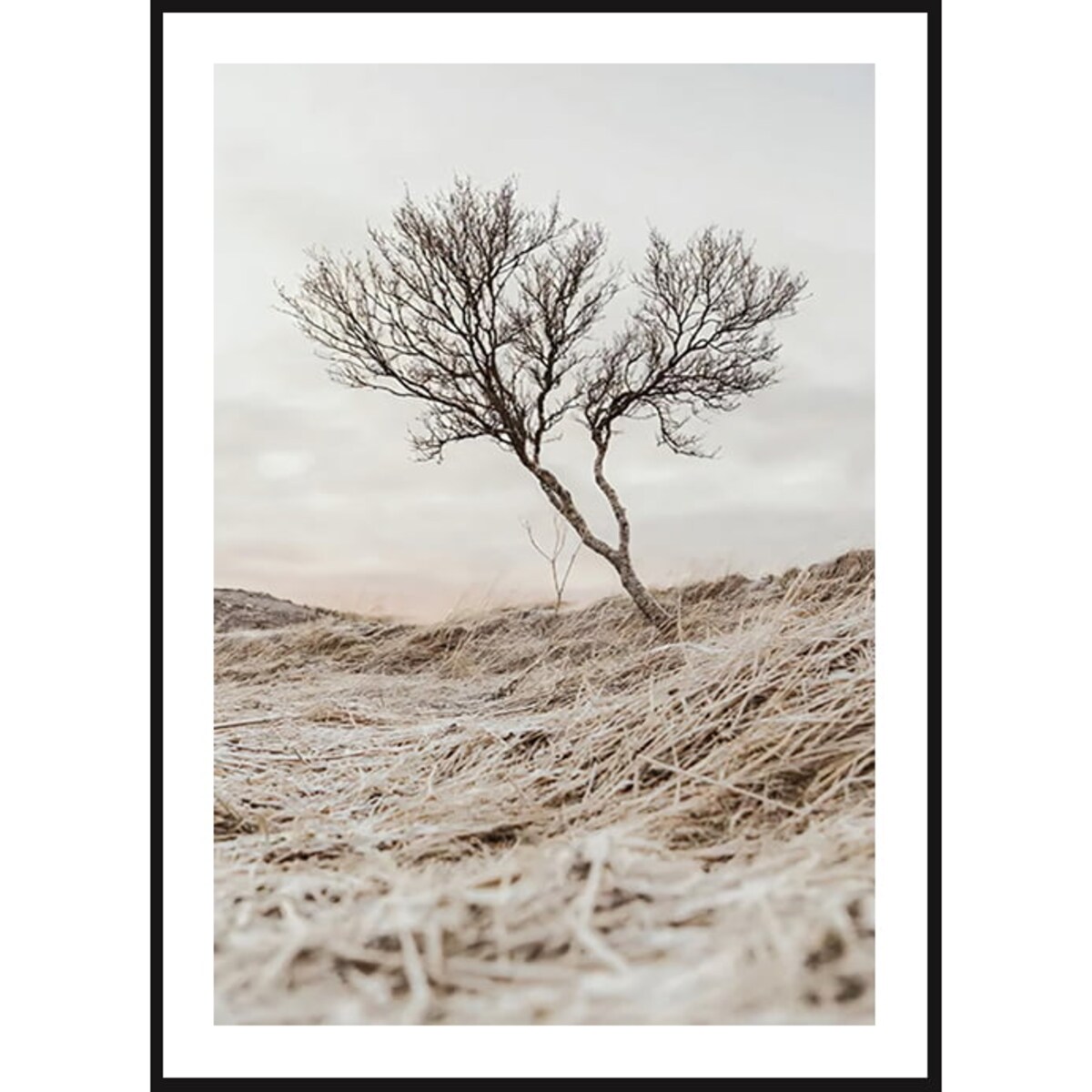 Poster Story, Plakat, Obraz - Samotne Drzewo, wymiary 70 x 100 cm