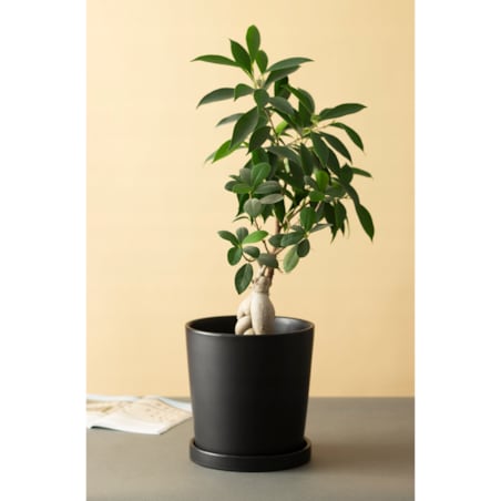 DONICA ISTAD XL z podstawką CZARNY MAT śr. 19cm