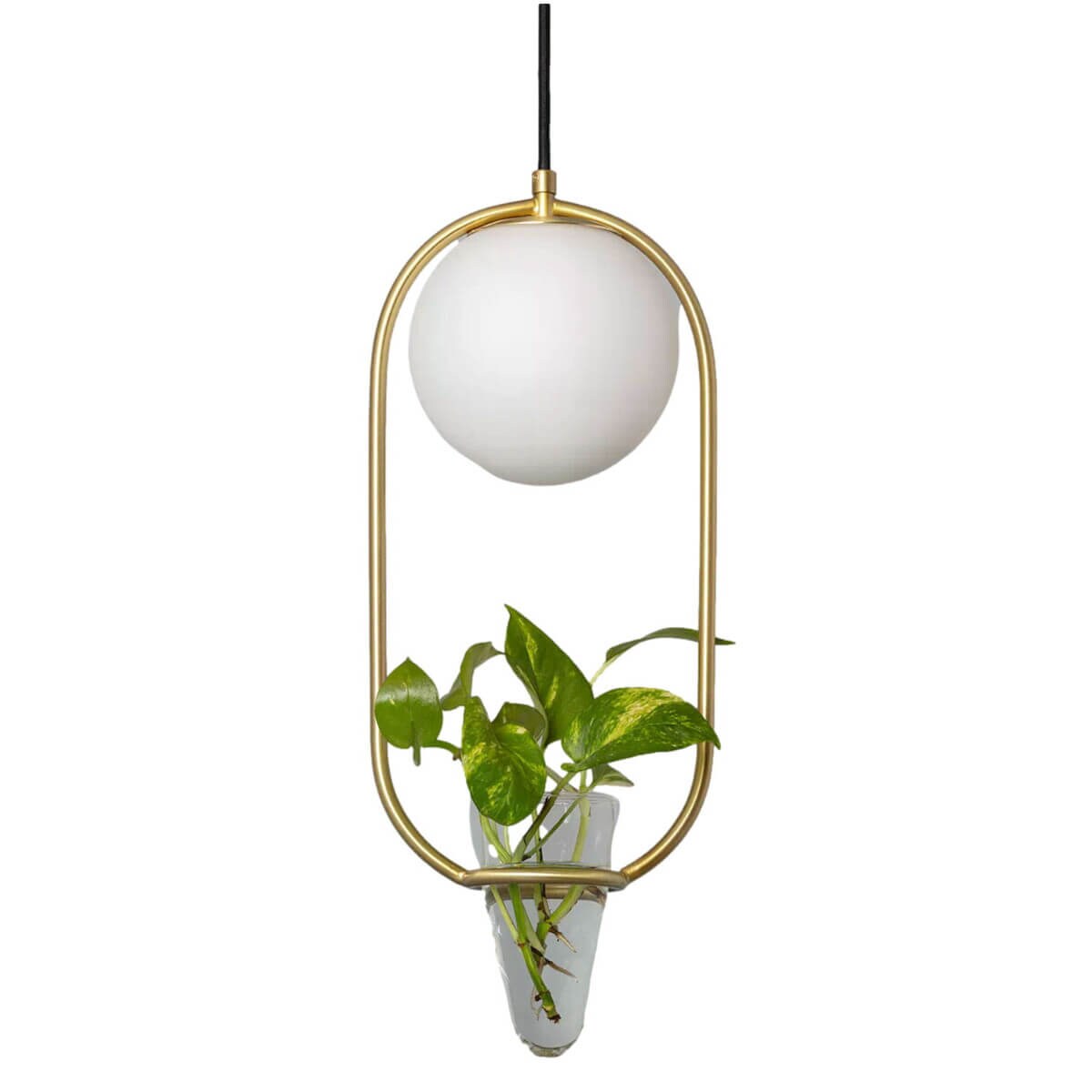 Jadalniana lampa wisząca Milano ABR-LWU-E27 Abruzzo doniczka kula złoty biały