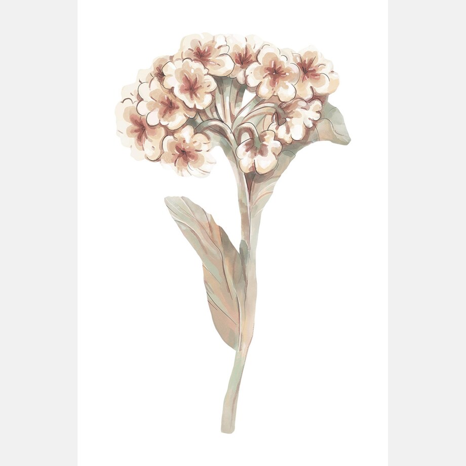 Plakat dla dzieci Kwiat 4 20x30