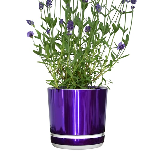 16 cm wzór FIOLETOWA LAWENDA Doniczka z podstawką wysoki połysk metaliczna wrzosy krokusy storczyk orchidea