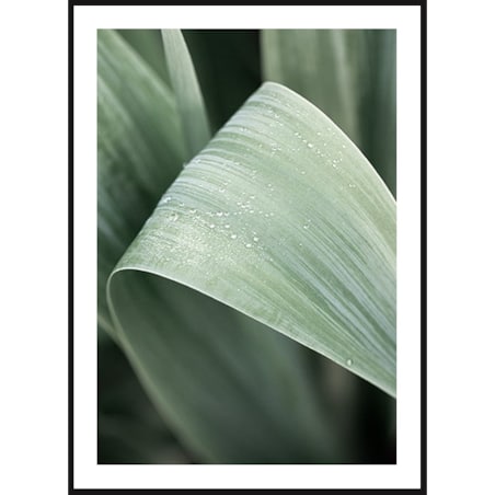 Poster Story, Plakat, Obraz - Duży Zielony Liść, wymiary 60 x 84 cm