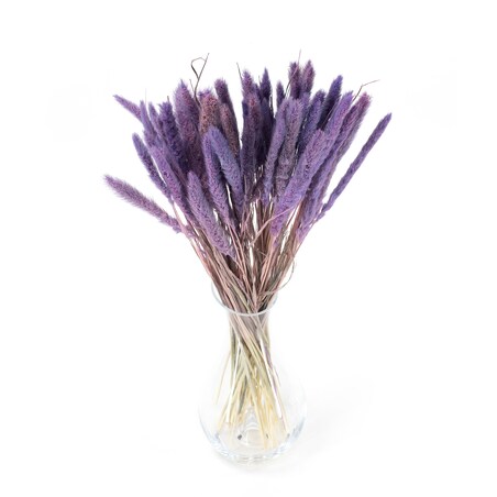 Suszona setaria fioletowa - suszone trawy