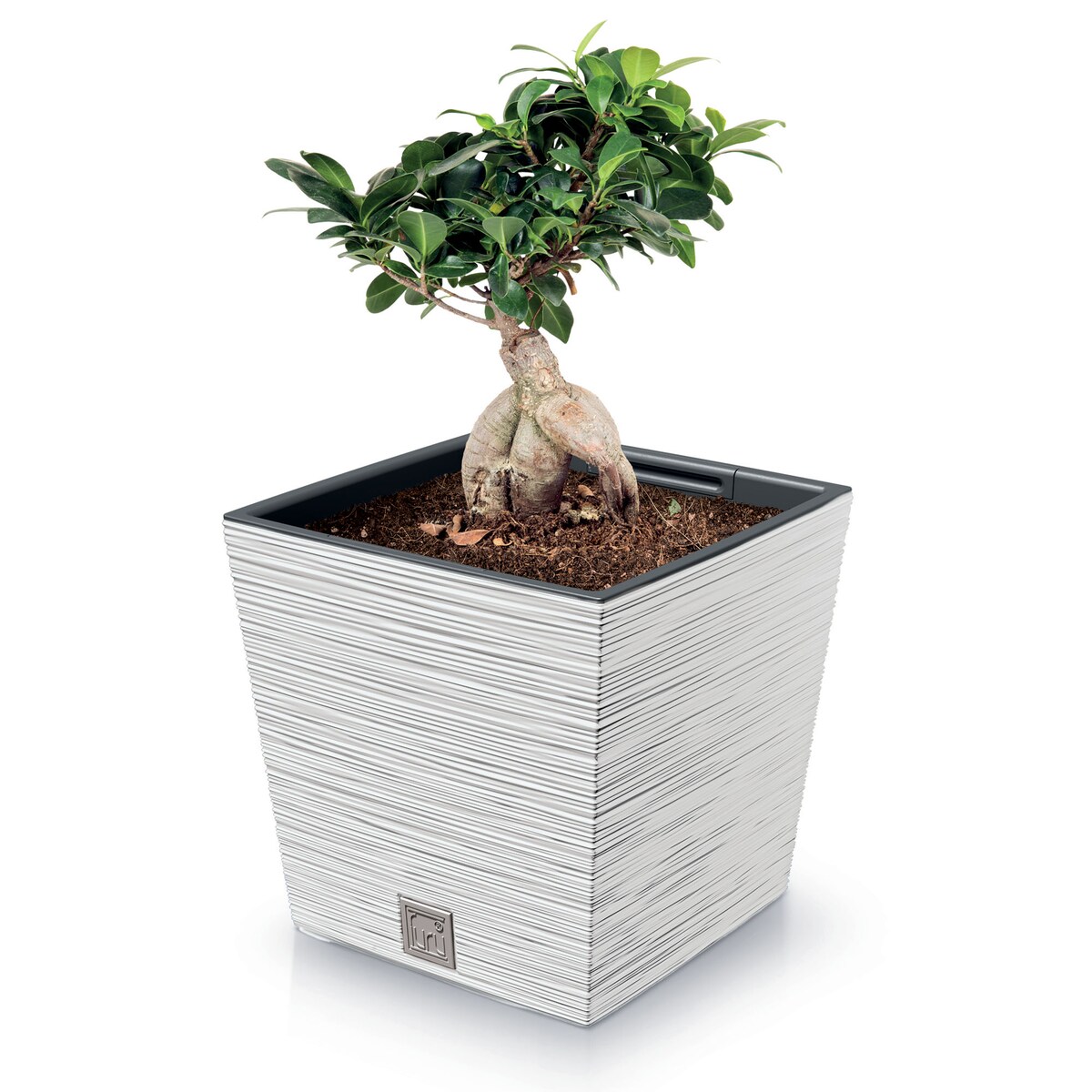 Doniczka Donica Ogrodowa 29,5 Cm Kwadratowa Na Taras Do Ogrodu Domu Biała