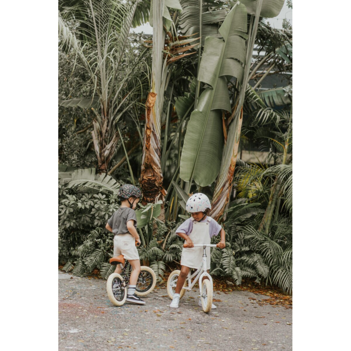 Banwood FIRST GO! rowerek biegowy Marest Allegra black