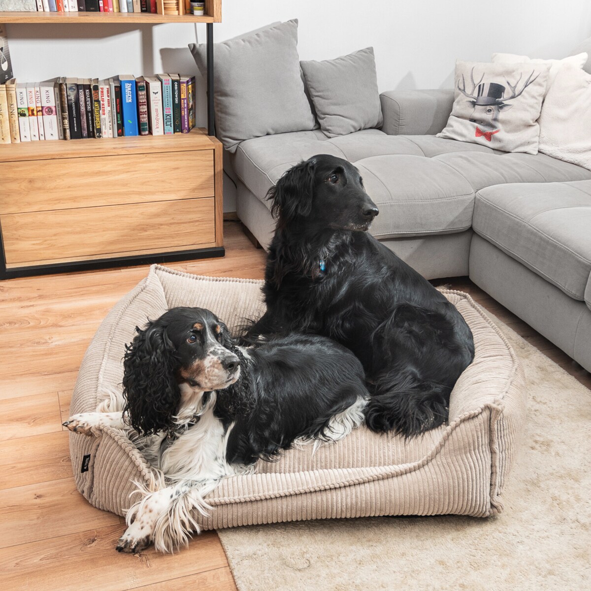 Ortopedyczne sztruksowe legowisko dla psa HUGO, 60x40 cm, Beż