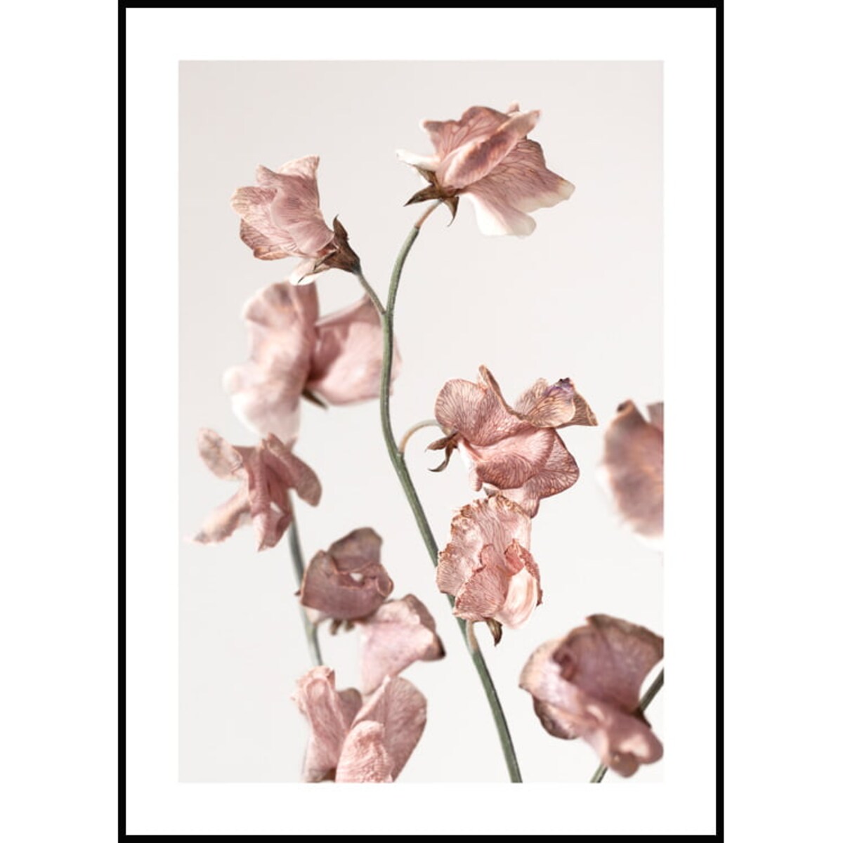 Poster Story, Plakat, Obraz - Różowe Kwiatki, wymiary 50 x 70 cm