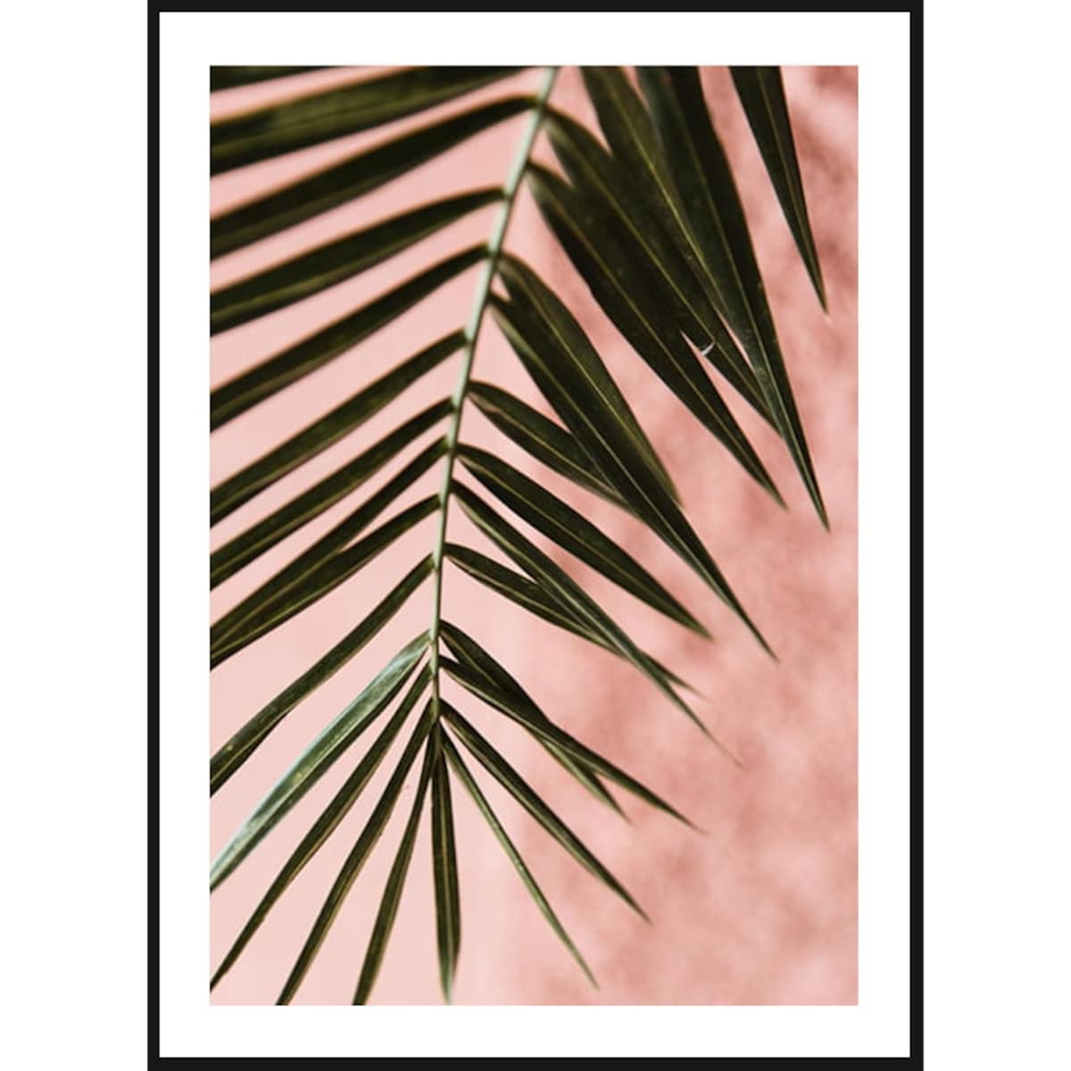 Poster Story, Plakat, Obraz - Zielona Palma na Różowym Tle, wymiary 60 x 84 cm