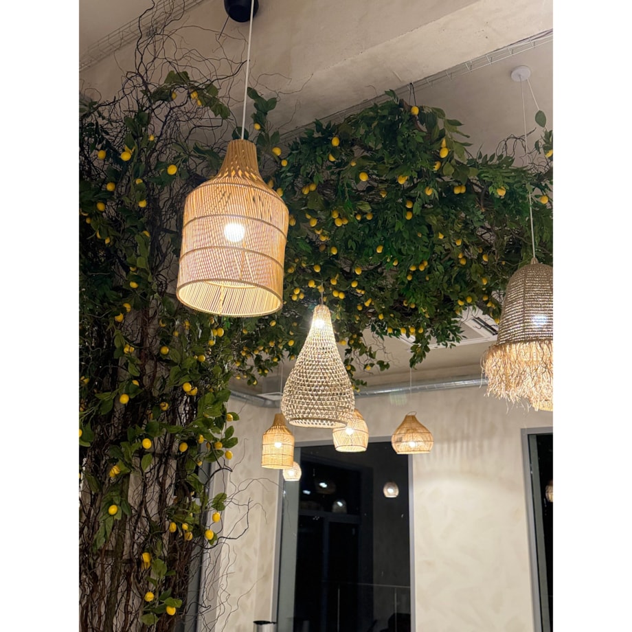 Instalacja z cytryn - drzewo cytrynowe 25m2