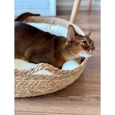 Miękkie Legowisko dla zwierząt w wiklinowym koszyku poduszka pies kot