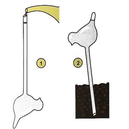 Szklany nawadniacz do podlewania roślin PTAK - 2 sztuki w komplecie