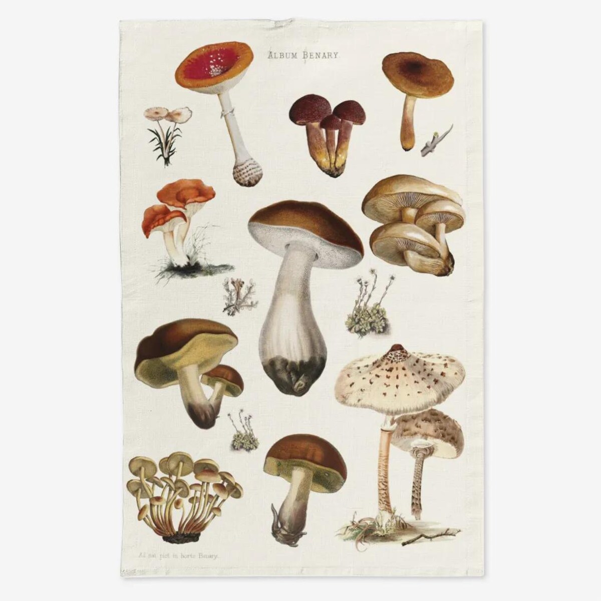 Lniany ręcznik kuchenny - Grzyby