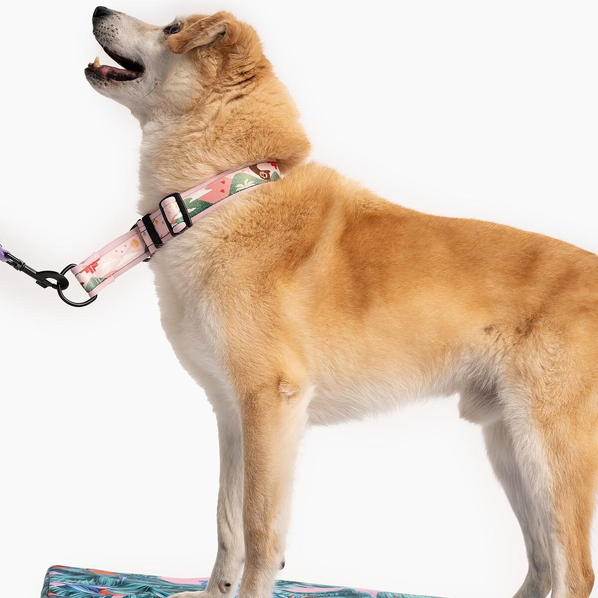 Obroża półzaciskowa SUPER SOFT "Owoc falliczny 2.0" - Szerokość taśmy: 38mm, Rozmiar: M