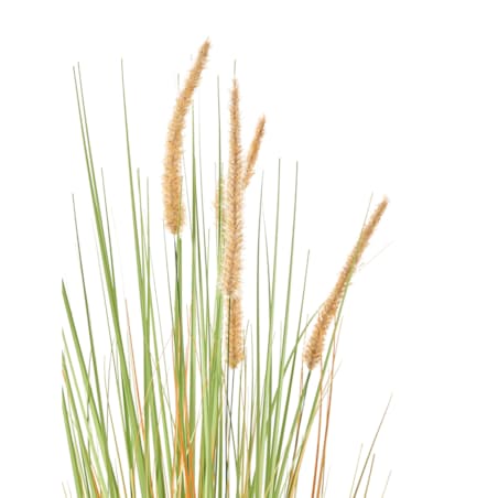 Sztuczna roślina BRISTLEGRASS 90 cm Zielony