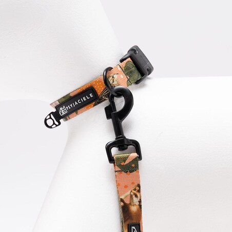 Obroża dla psa lub kota "Wie wiórka co dobre" - Szerokość taśmy: 38mm, Rozmiar: M