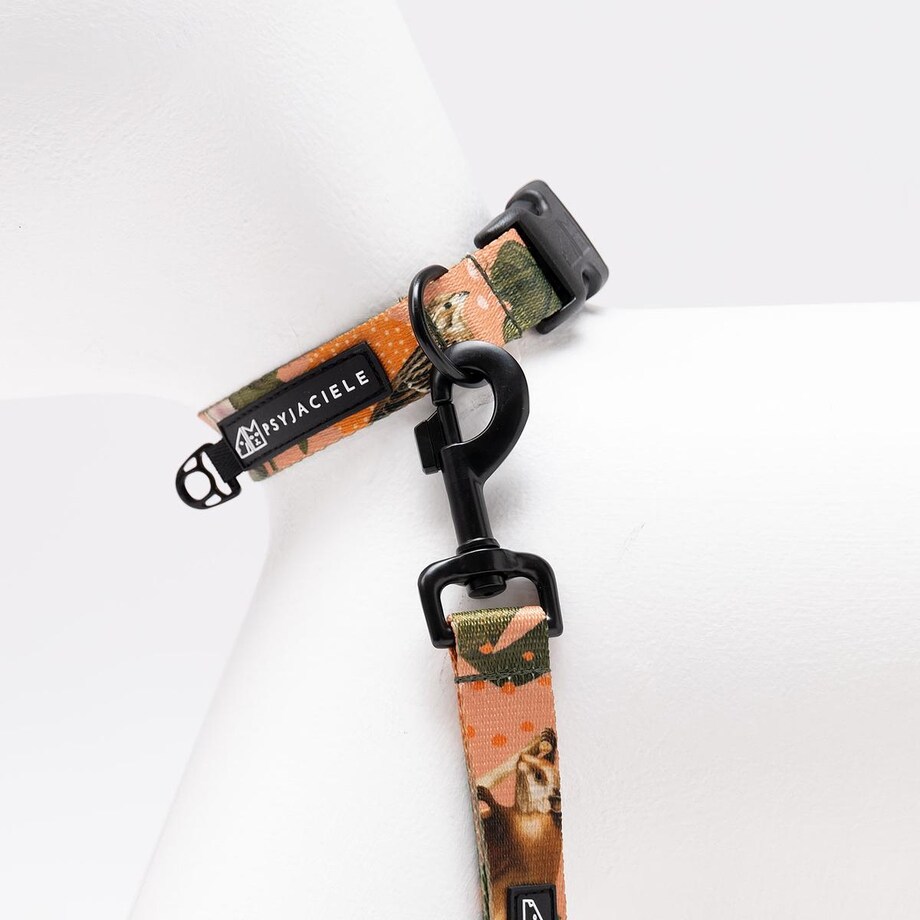 Obroża dla psa lub kota "Wie wiórka co dobre" - Szerokość taśmy: 38mm, Rozmiar: M