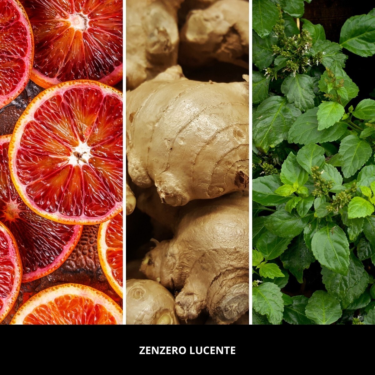 Millefiori zestaw prezentowy pałeczki zapachowe