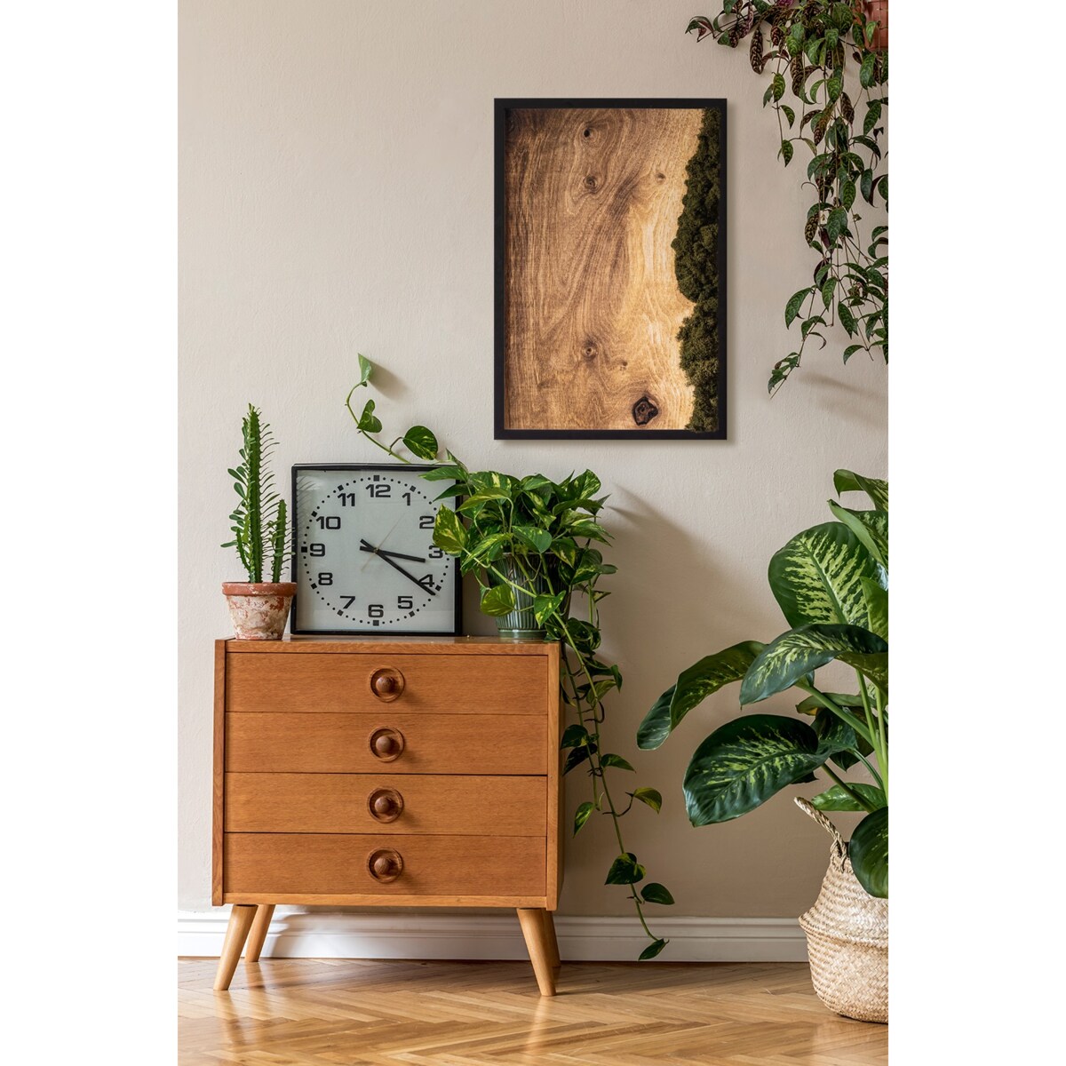 Obraz Dębowa deska naturalna - mech chrobotek w czarnej ramie 40x60cm